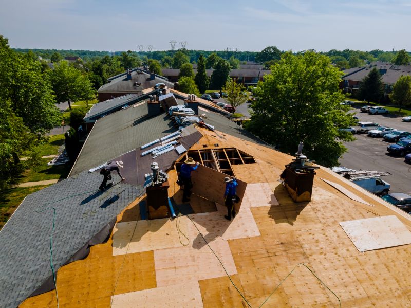 Summer Roofing Project